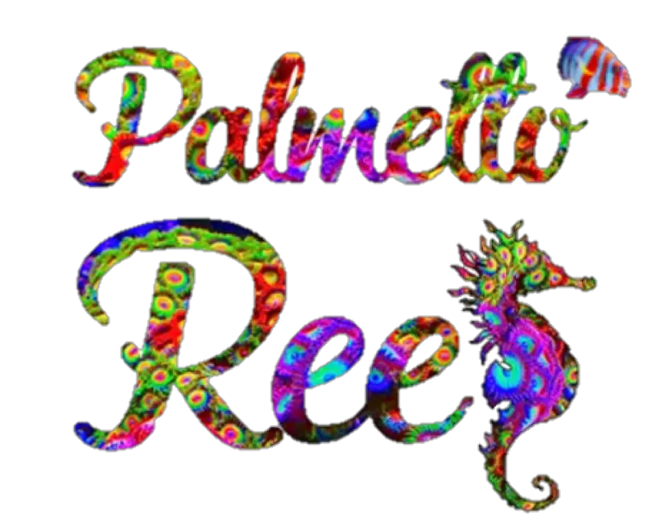 Company logo of Palmetto Reef