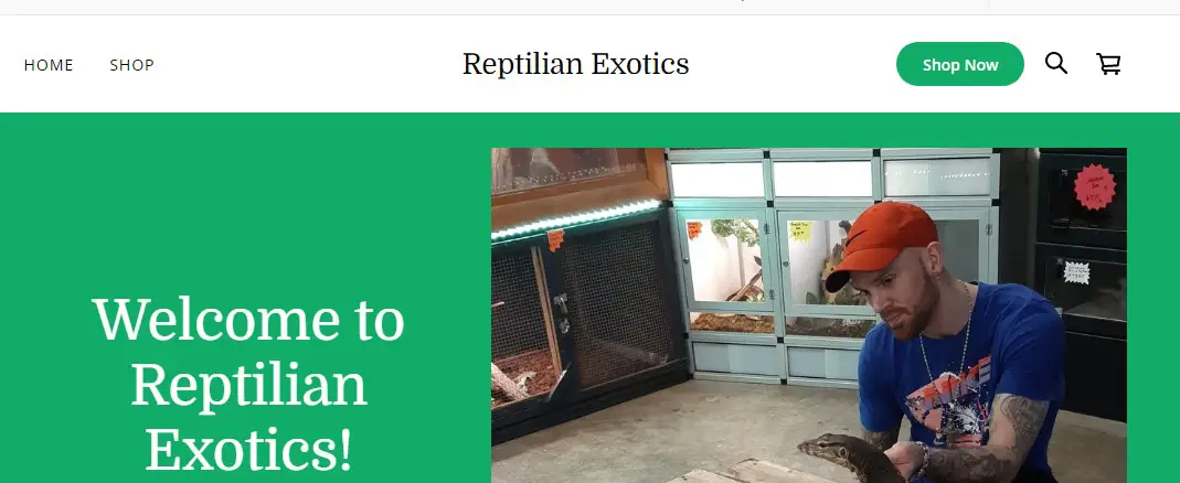 Company logo of Reptilian Exotics