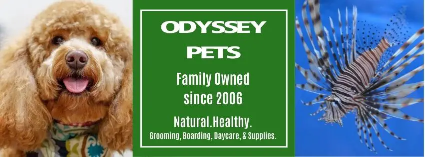 Odyssey Pets