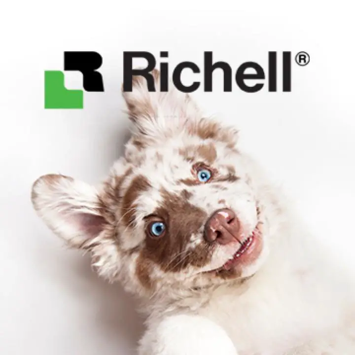 Company logo of Richell USA Inc