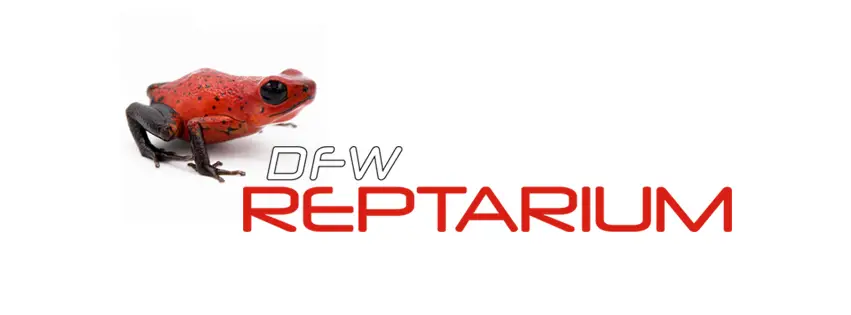 Company logo of DFW Reptarium