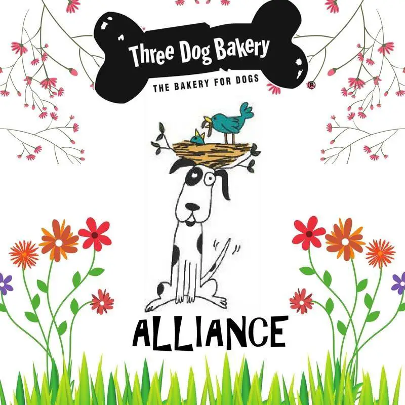 Company logo of Three Dog Bakery Plano