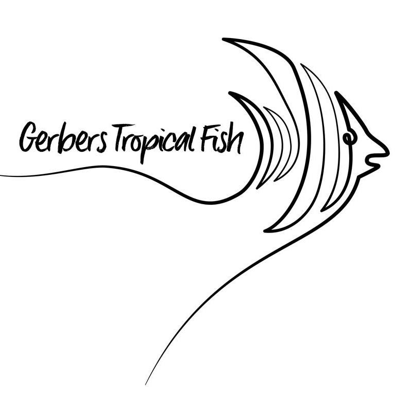 Company logo of Gerber's Tropical Fish
