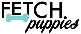 Company logo of Fetch Puppies