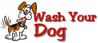 Company logo of Wash Your Dog