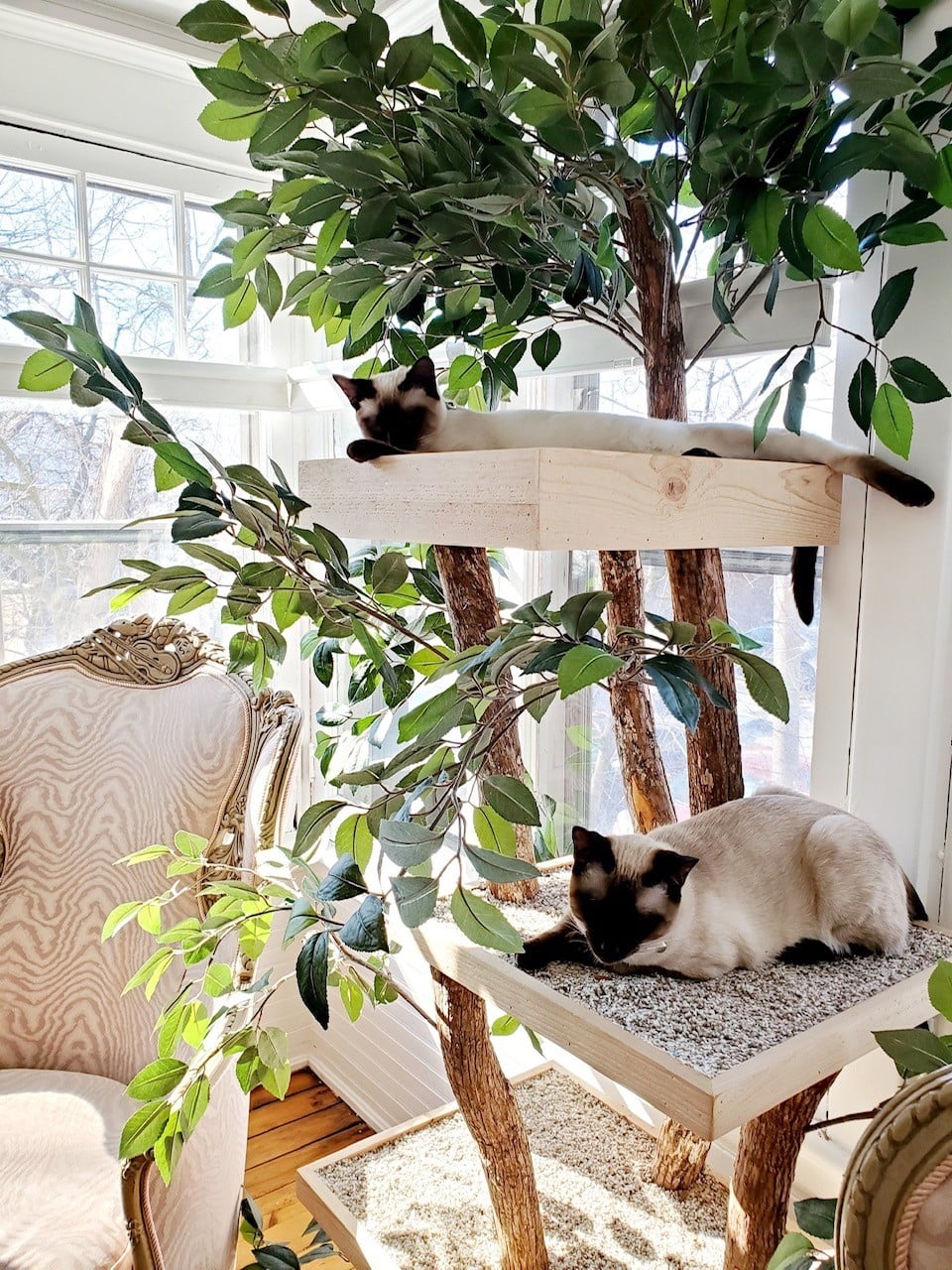 Pet Tree Houses