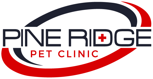 Company logo of Pine Ridge Pet Clinic