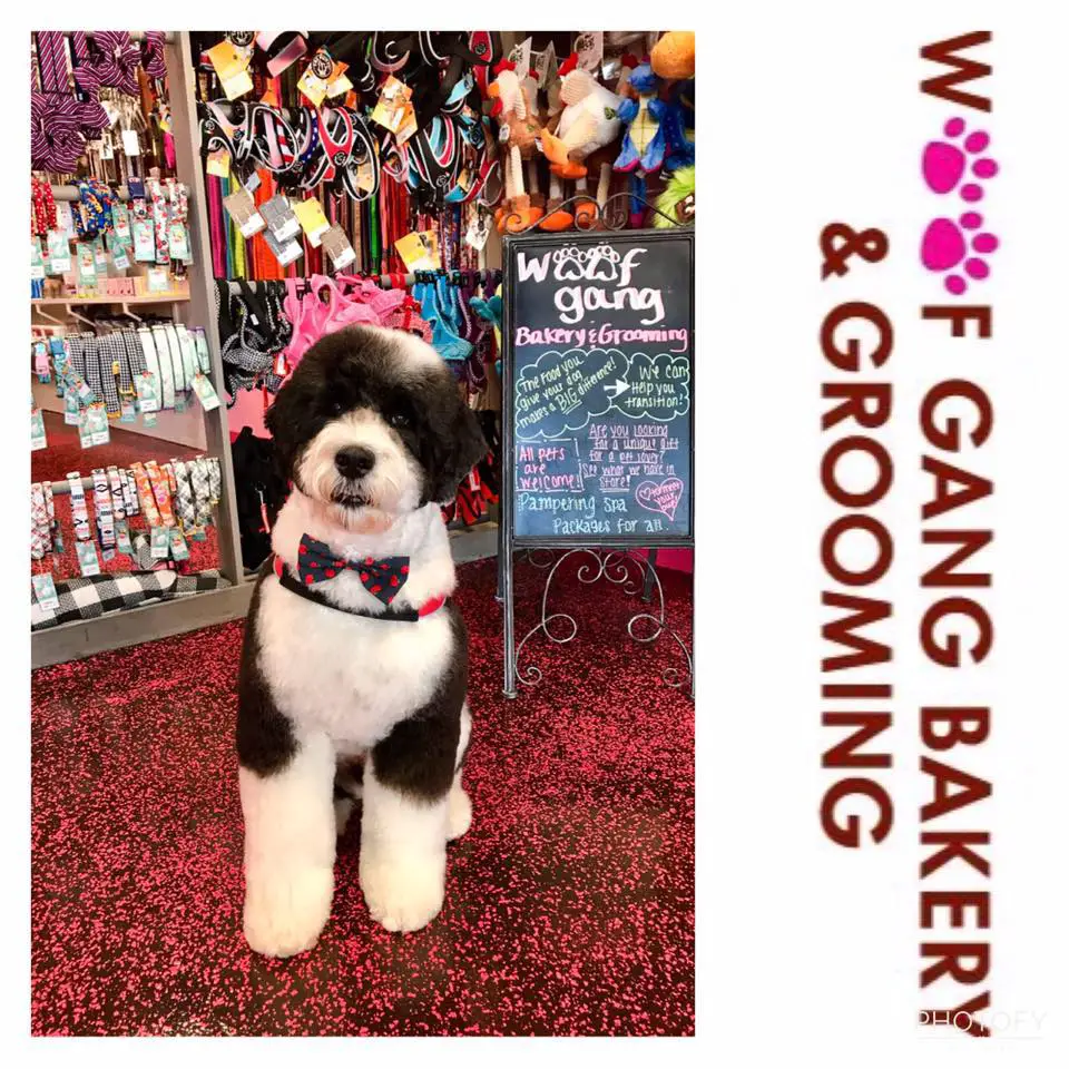 Woof Gang Bakery & Grooming Heathrow