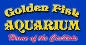 Company logo of Golden Fish Aquariums