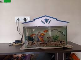 Golden Fish Aquariums