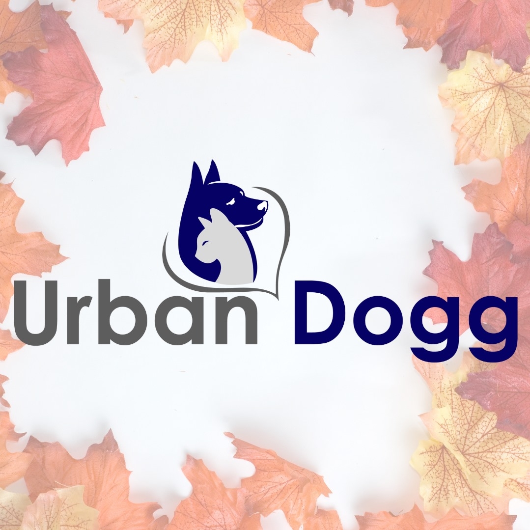 Company logo of Urban Dogg - Broomfield