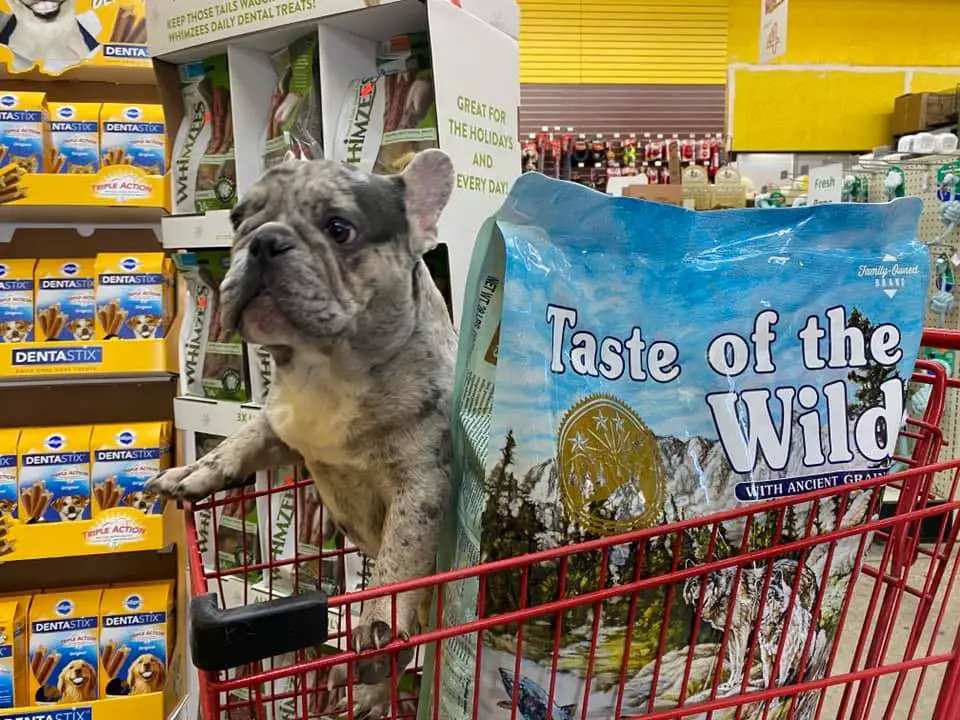 Detroit K-9 Pet supplies