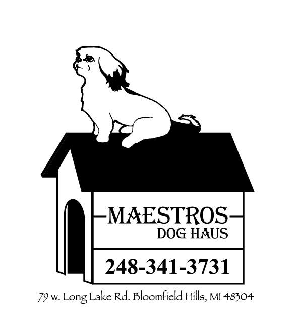 Company logo of Maestros' Dog Haus