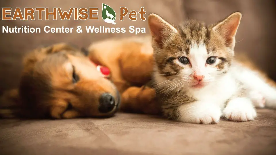 EarthWise Pet Supply & Grooming Bloomfield