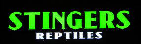 Company logo of Stingers Exotics