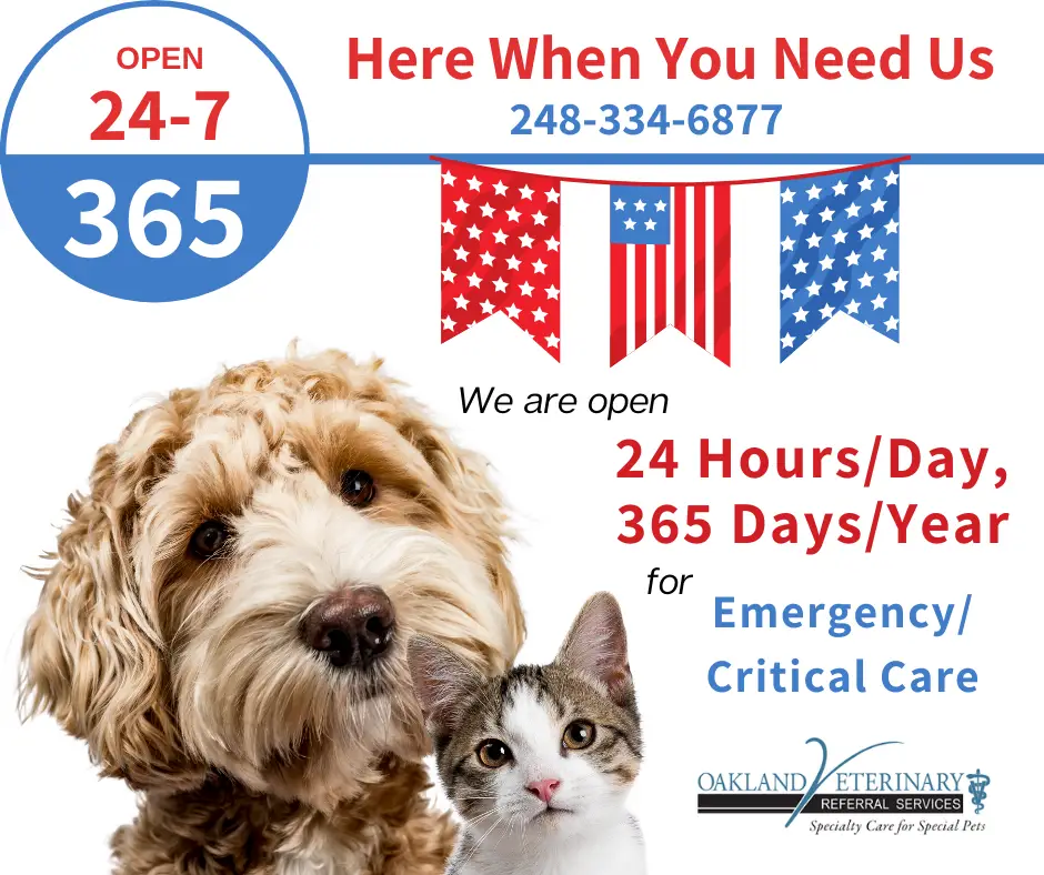 Oakland Veterinary Referral Services