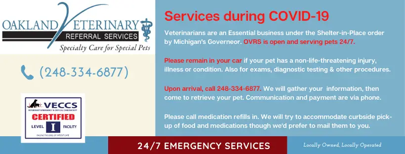 Oakland Veterinary Referral Services