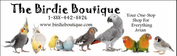 Company logo of The Birdie Boutique