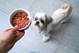 Custom Pet Food