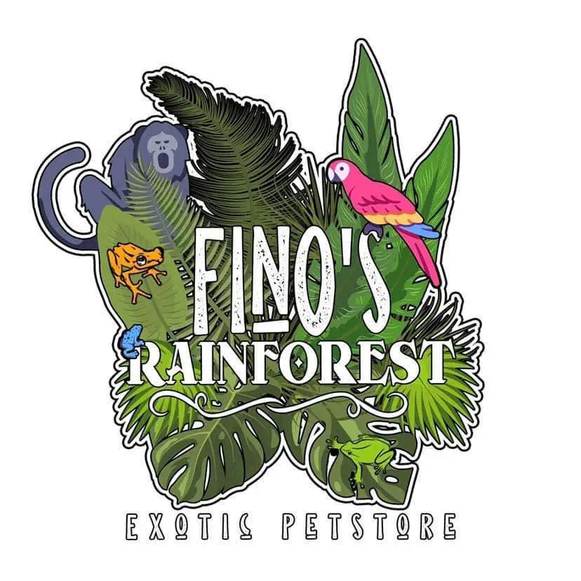 Company logo of Fino's Rainforest - Exotic Pets - El Paso, Tx