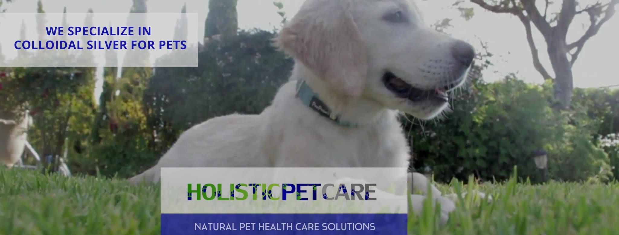 Holistic Pet Care