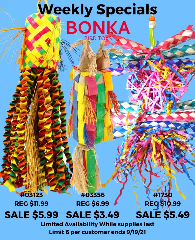 Bonka Bird Toys