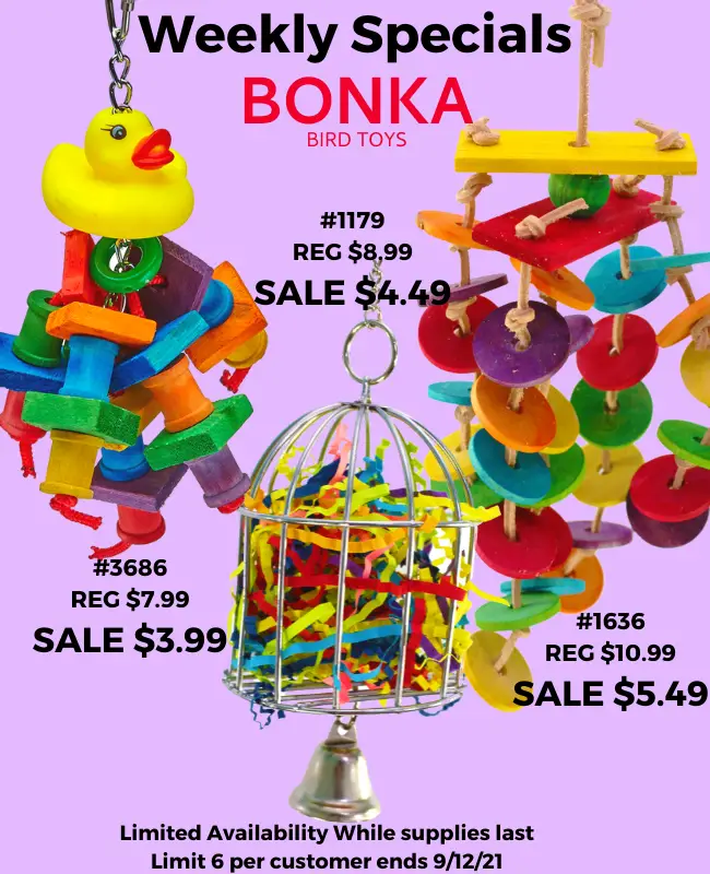 Bonka Bird Toys