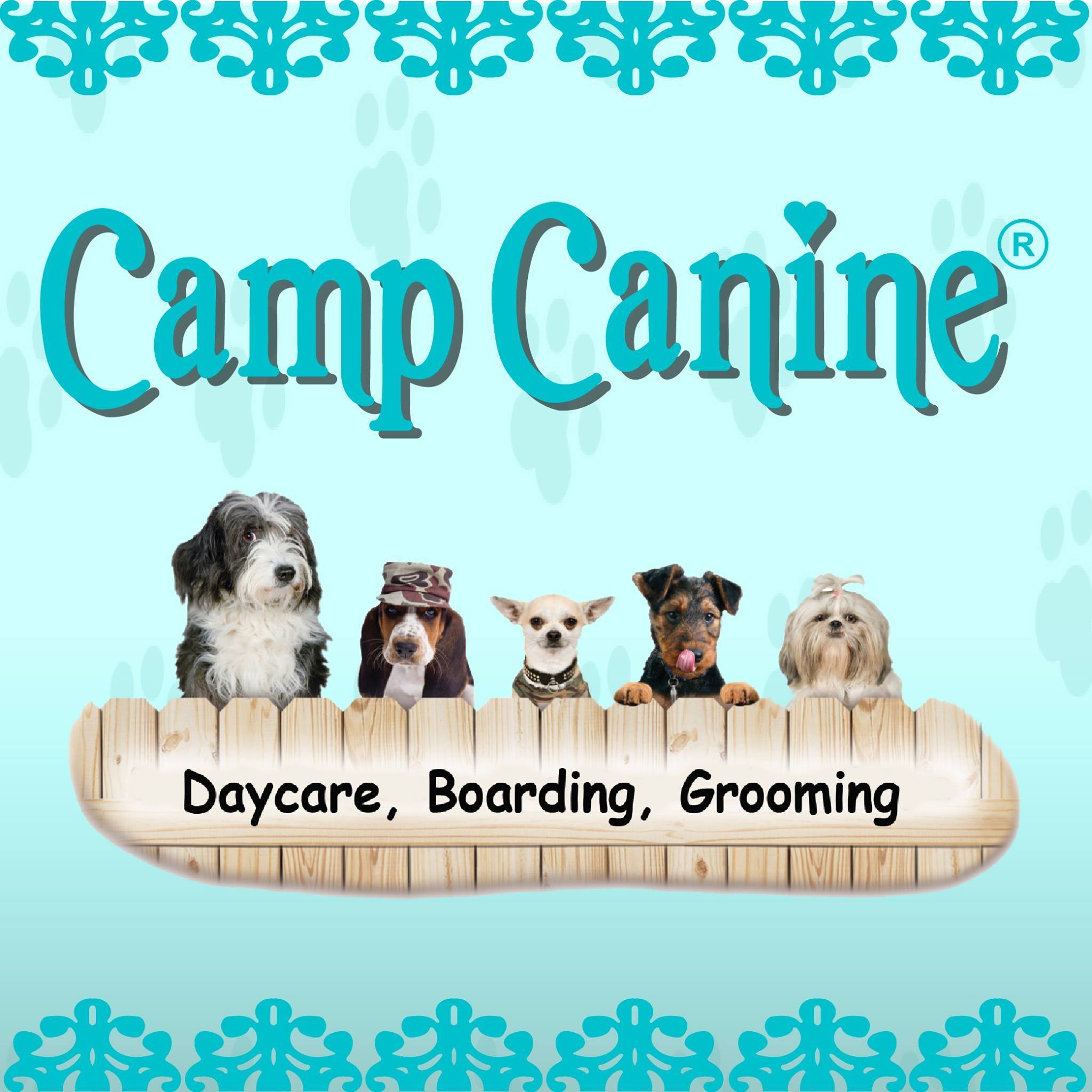 Company logo of Camp Canine Ft Lauderdale