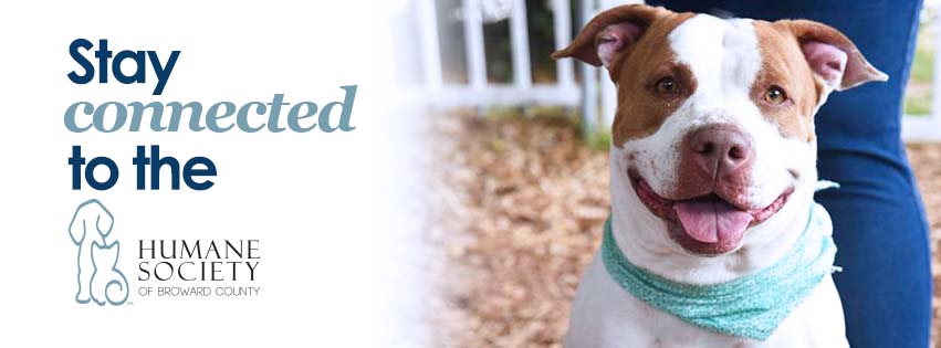 Humane Society of Broward County