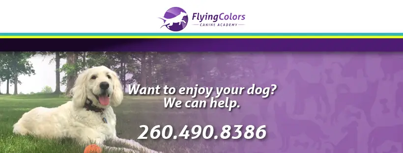 Flying Colors Canine Academy Inc.