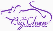 Company logo of Big Cheese Rodent Factory