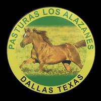 Company logo of Pasturas Los Alazanes