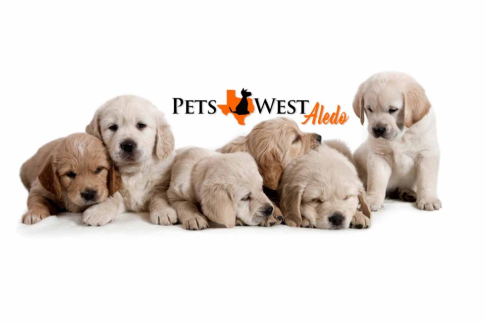 Pets West Aledo