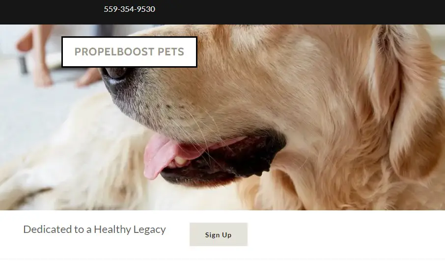 Company logo of PropelBoost Pets