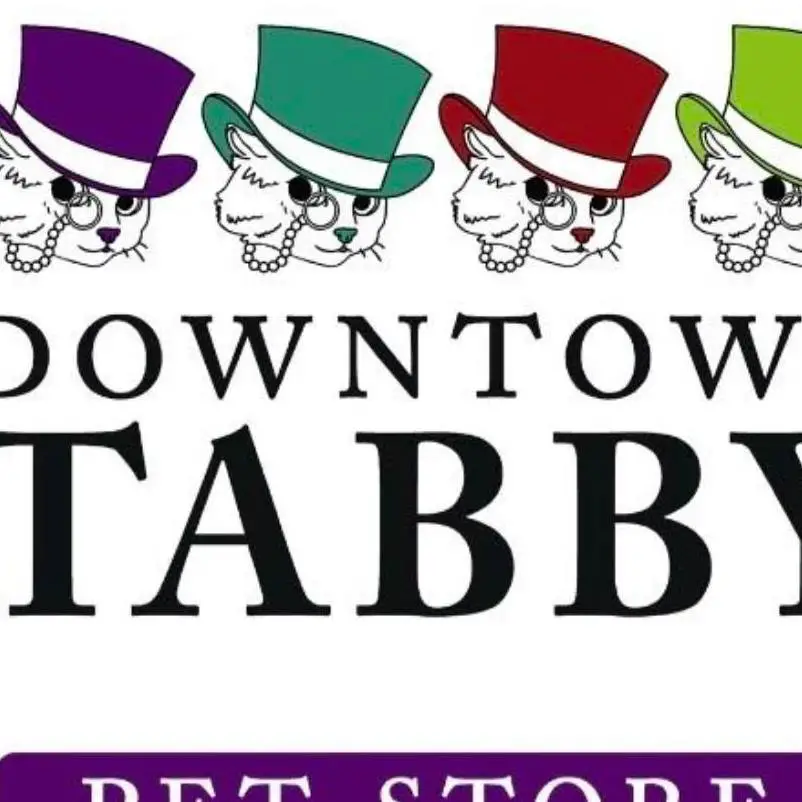 Company logo of Downtown Tabby Pet Store