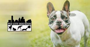 Pet City Houston