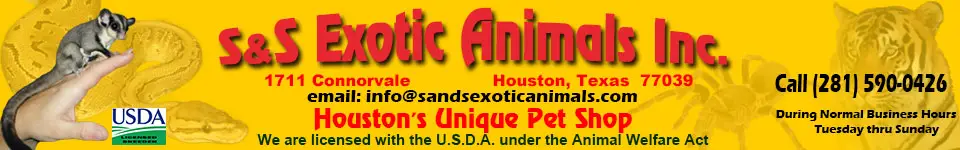 Company logo of S & S Exotic Animals Inc