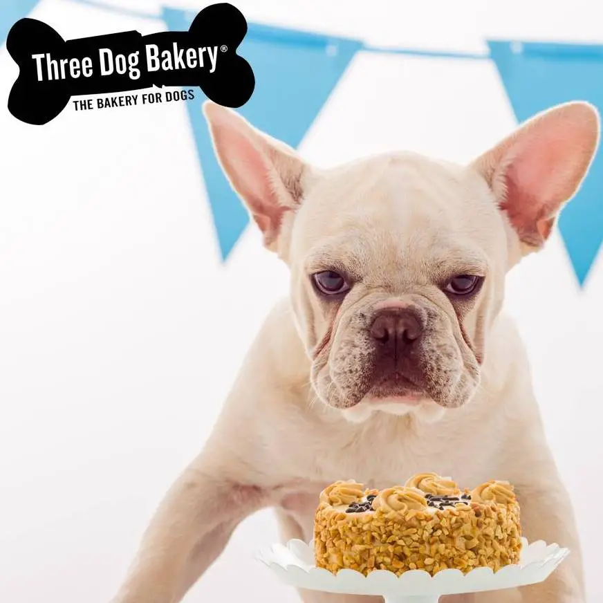 Three Dog Bakery Houston