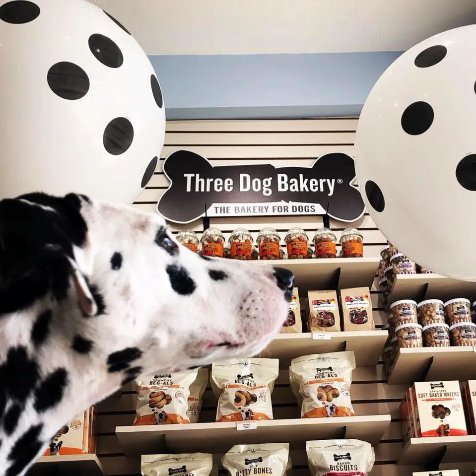 Three Dog Bakery Houston