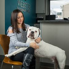 Webster Veterinary