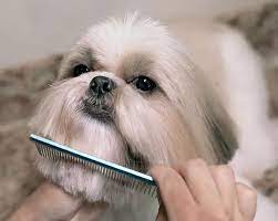 North Bark Pet Grooming