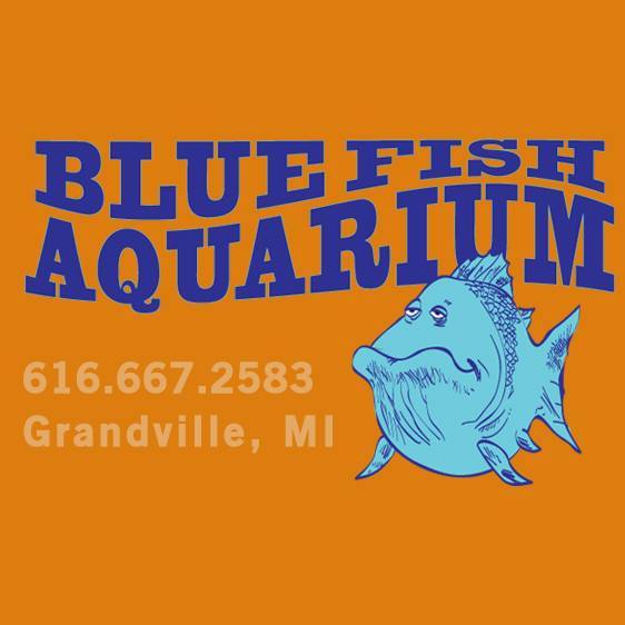 Company logo of Blue Fish Aquarium