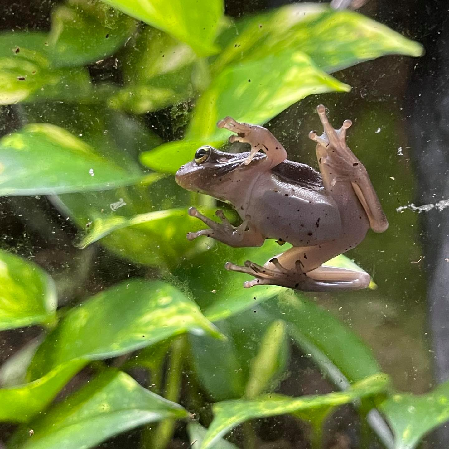 Blue Fish Aquarium