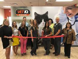 VetIQ Petcare