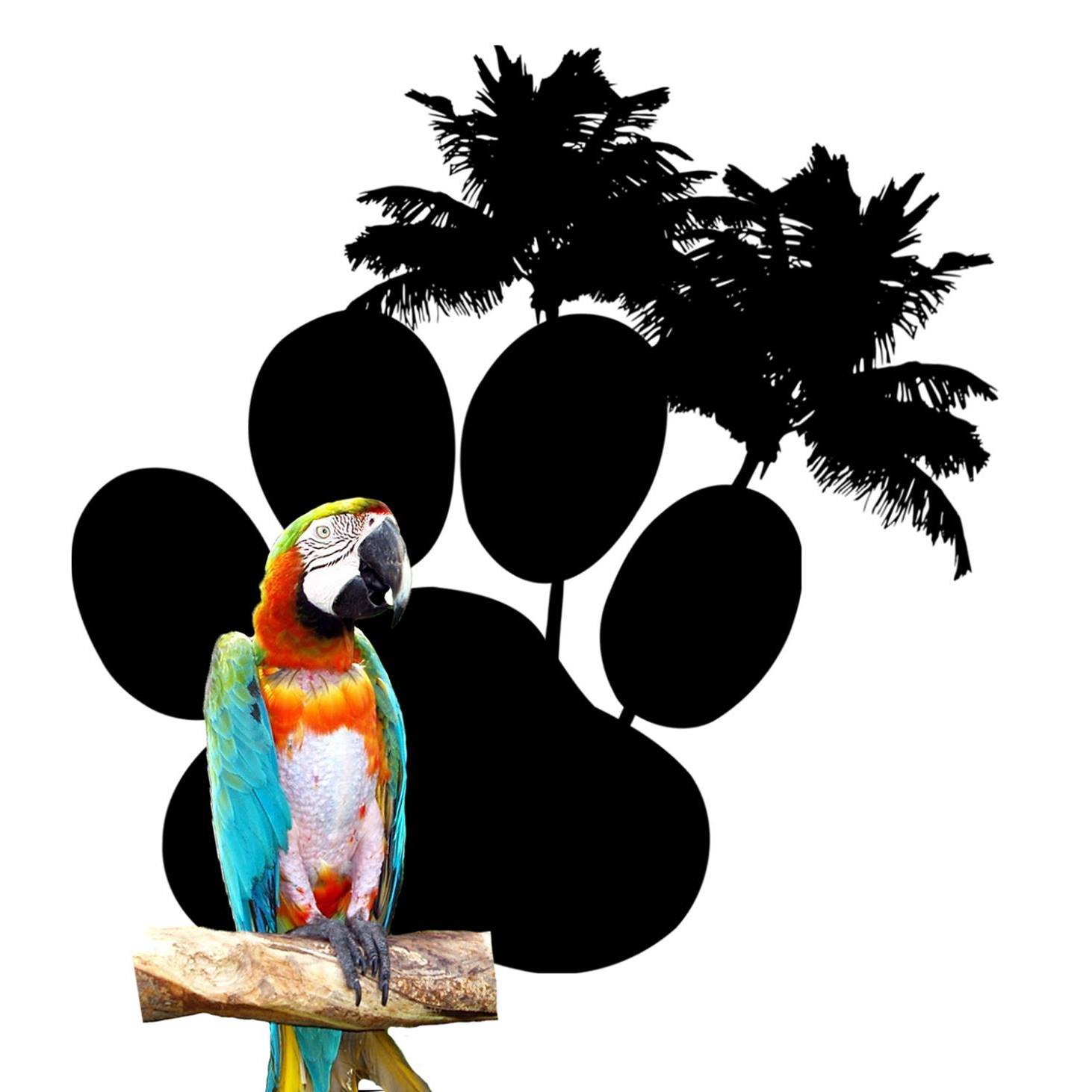 Company logo of Brooknelle Pet Resort