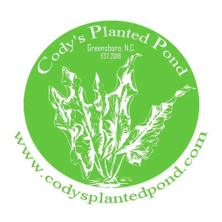 Company logo of Cody's planted pond