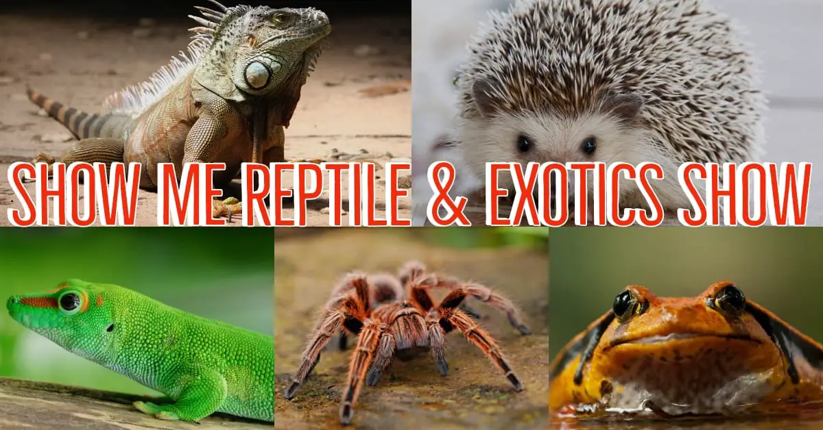 Show Me Reptile and Exotics Show (South Carolina)