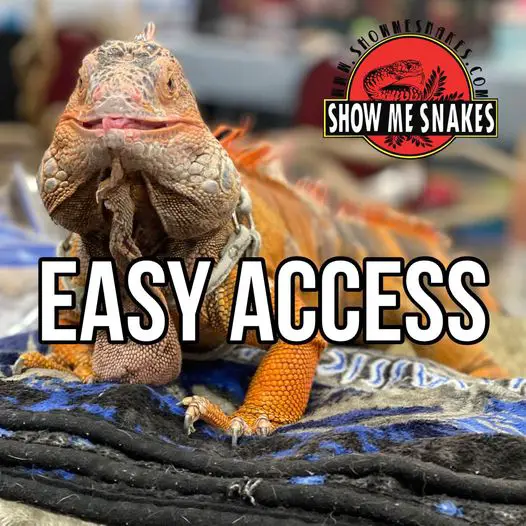 Show Me Reptile and Exotics Show (South Carolina)