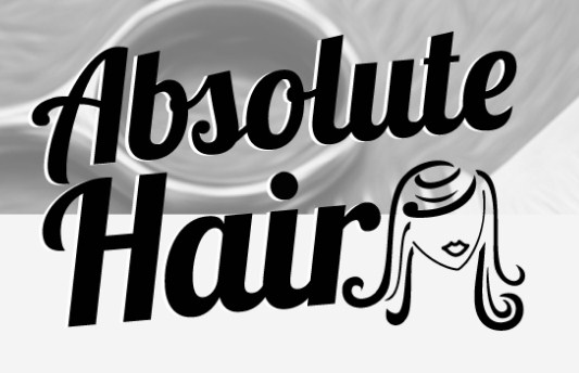 Company logo of Absolute Hair