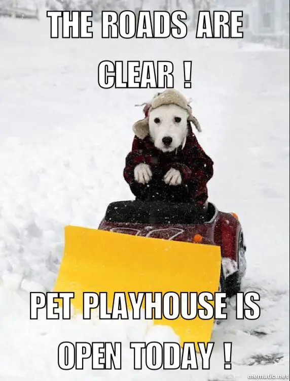 Pet Playhouse